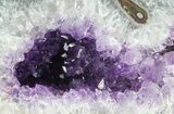 Purple Amethyst Geode - Uruguay #66708-3